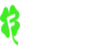 Fortunica Casino